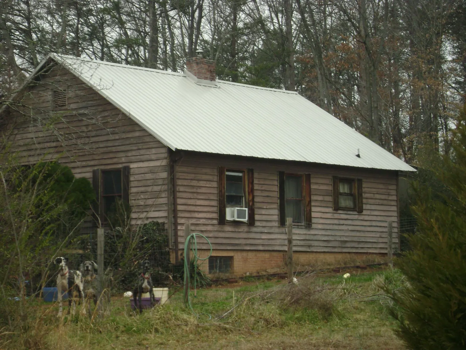 White metal roof on an old wood sided farmhouse, from a Metal Roof Installation job in Olga